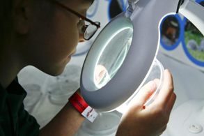 Il laboratorio di Kronos e Icaro